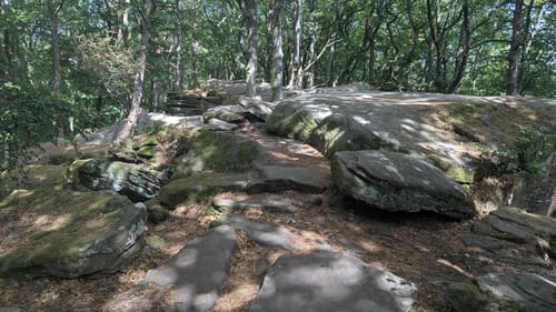 Kaltenbrunnertal zur Kalmit