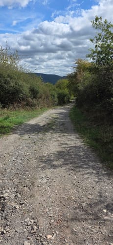 Vom Warsberg nach Ayl