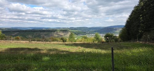 Vom Warsberg nach Ayl