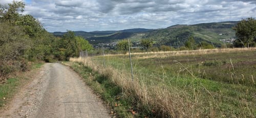 Vom Warsberg nach Ayl