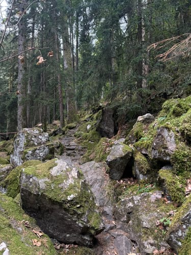 Durch das Simonstal zu den Zweribachwasserfällen