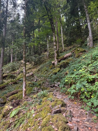 Durch das Simonstal zu den Zweribachwasserfällen