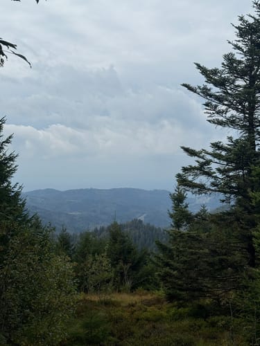 Schliffkopf Rundweg