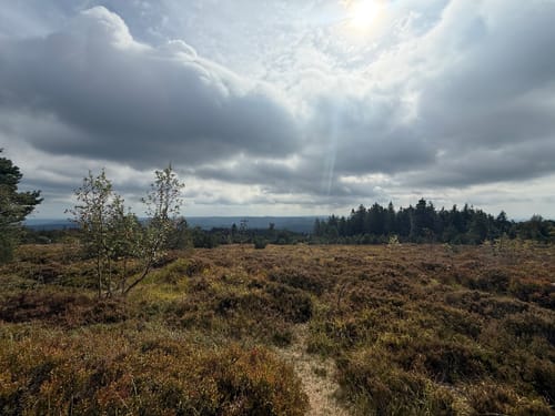 Schliffkopf Rundweg