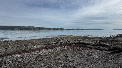Premiumweg SeeGang Etappe 4: Ruine Kargegg - Insel Mainau
