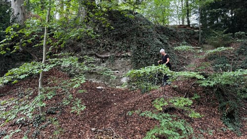 Premiumweg SeeGang Etappe 4: Ruine Kargegg - Insel Mainau