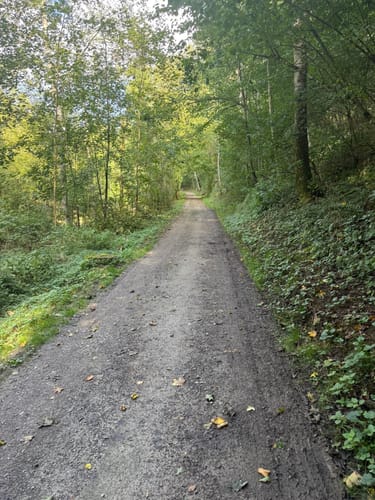 Rothenburg ob der Tauber - Walkmühle - Detwang