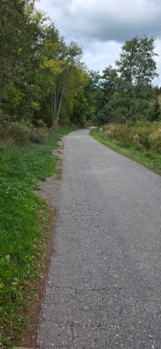 Runde am Wolfsteich