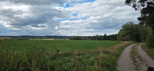 Runde am Wolfsteich