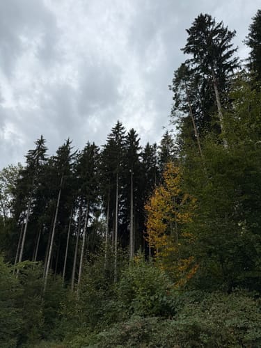 Crescentia-Pilgerweg Fernwanderweg