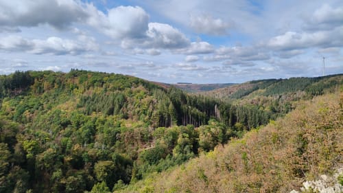 Geierlayschleife (Premiumwanderweg)