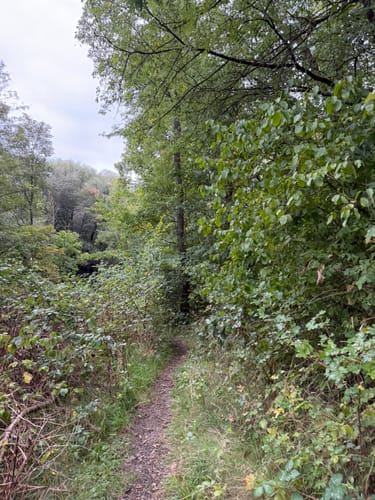 Durch das Webicht und um Schlosspark Tierfurt
