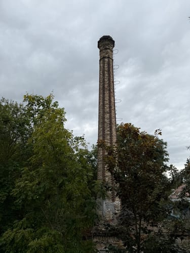 Durch das Webicht und um Schlosspark Tierfurt