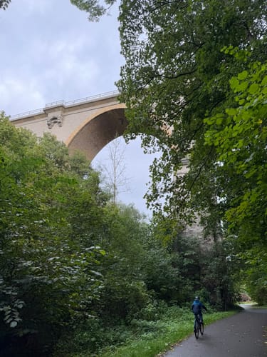 Durch das Webicht und um Schlosspark Tierfurt