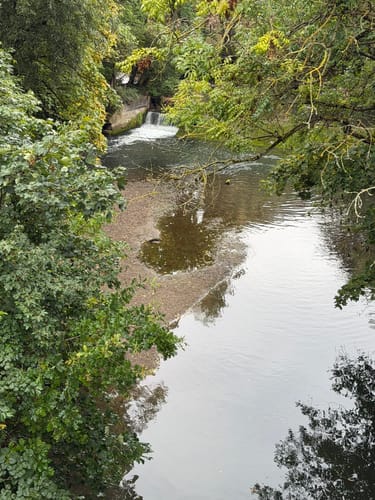 Durch das Webicht und um Schlosspark Tierfurt