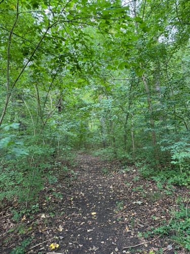 Durch das Webicht und um Schlosspark Tierfurt