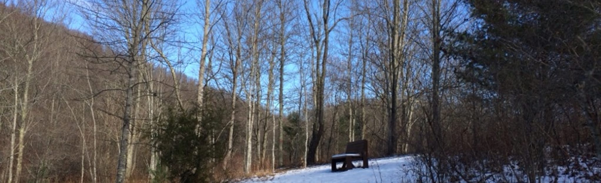 Acorn Ridge Trail, West Virginia - 11 Reviews, Map | AllTrails