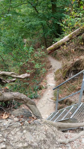 Geierlayschleife (Premiumwanderweg)