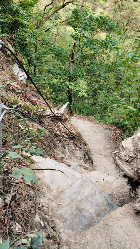 Geierlayschleife (Premiumwanderweg)