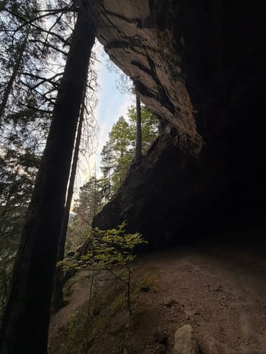 Schwarzwaldbahn Erlebnispfad
