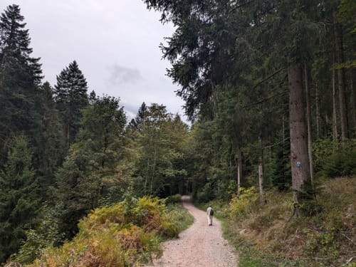 Felixpfad auf dem Flößerpfad