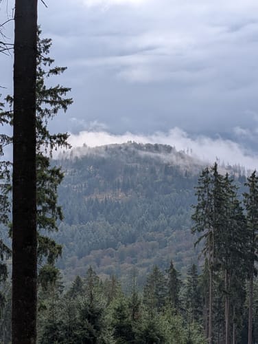 Großen Feldberg