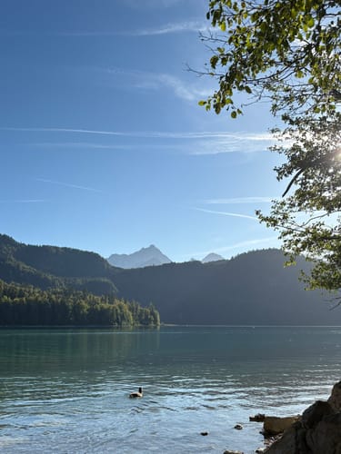Neuschwanstein Rundweg