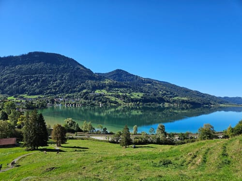 Vom Alpsee zur Siedelalpe