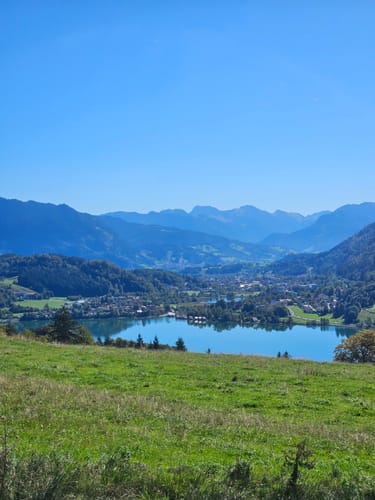 Vom Alpsee zur Siedelalpe