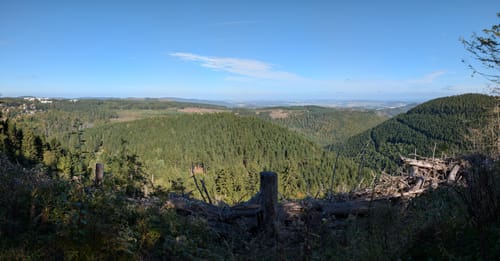 Liebesbankweg (Premiumwanderweg)