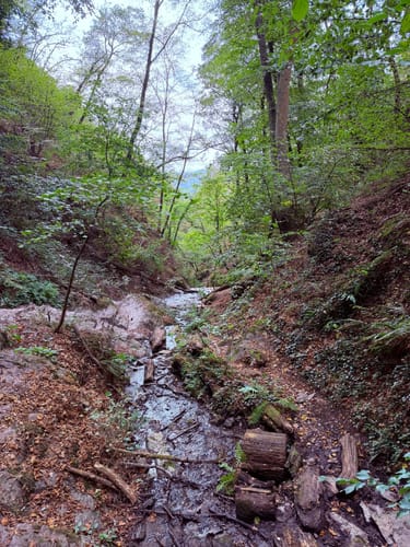 Ruppertsklamm Rundweg