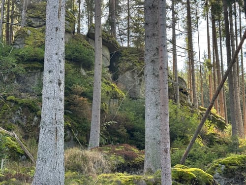 Waldnaabtal Rundweg (Hammermühl-Runde kurz)