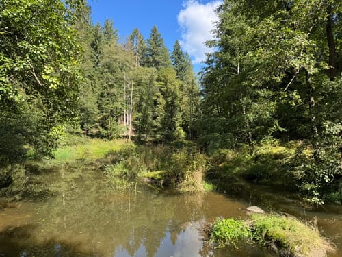 Waldnaabtal Rundweg (Hammermühl-Runde kurz)