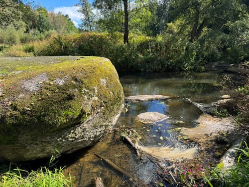 Waldnaabtal Rundweg (Hammermühl-Runde kurz)