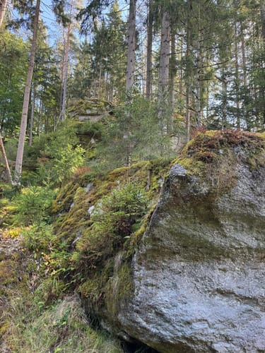 Waldnaabtal Rundweg (Hammermühl-Runde kurz)