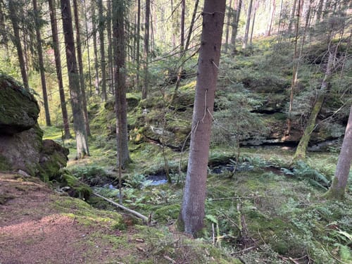 Waldnaabtal Rundweg (Hammermühl-Runde kurz)