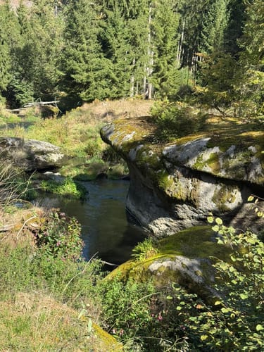 Waldnaabtal Rundweg (Hammermühl-Runde kurz)