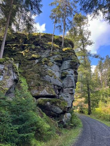 Waldnaabtal Rundweg (Hammermühl-Runde kurz)