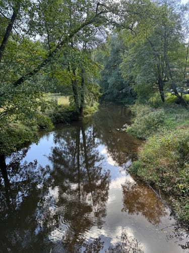 Waldnaabtal Rundweg (Hammermühl-Runde kurz)