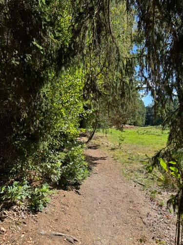 Waldnaabtal Rundweg (Hammermühl-Runde kurz)
