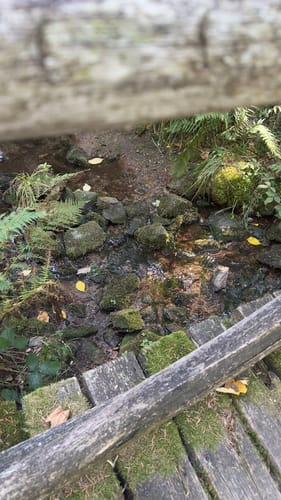 Schauinsland Rundweg