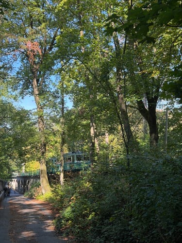 Traumhafte Siebengebirgsrunde mit Löwenburg und Drachenfels
