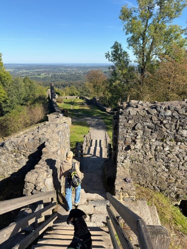 Traumhafte Siebengebirgsrunde mit Löwenburg und Drachenfels