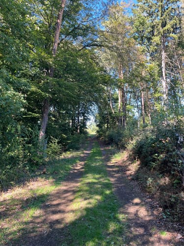 Rundweg B1 (Breitscheid-Verscheid)