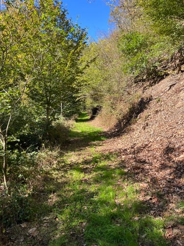 Rundweg B1 (Breitscheid-Verscheid)