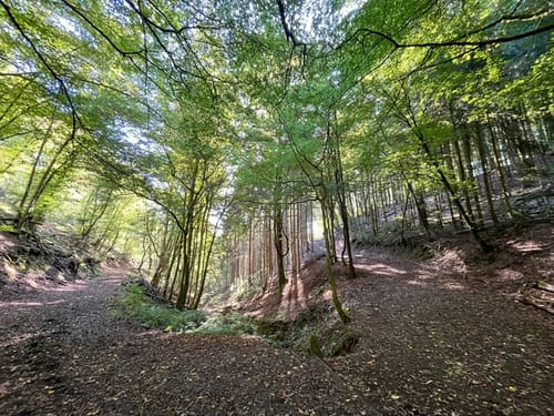 Rundweg B1 (Breitscheid-Verscheid)