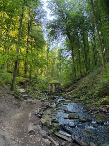 Trippstadt - Burg Wilenstein -Karlstalschlucht