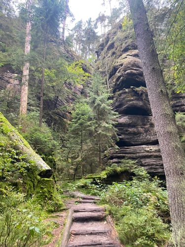 Bad Schandau - Schrammsteine - Großer Winterberg