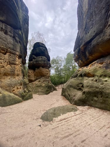 Bad Schandau - Schrammsteine - Großer Winterberg
