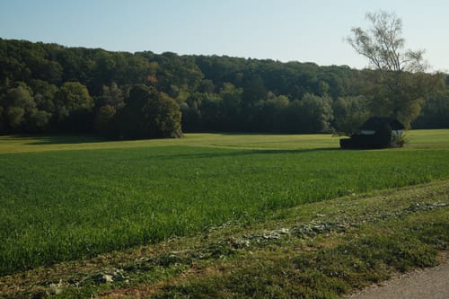 Am Ramsbachtal